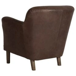 Carolina Fåtölj Skinn Brun -Pal Shop 024430 carolina 4